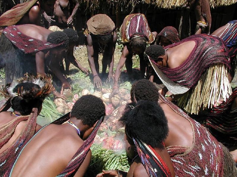 Tradisi Bakar Batu Papua: Ritual Kuno yang Menggugah Selera